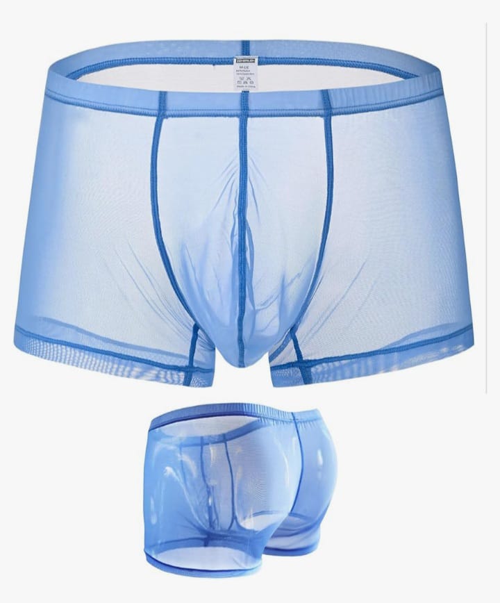 Men's Breathable Silk Boxer Moisture Wicking Underwear Briefs